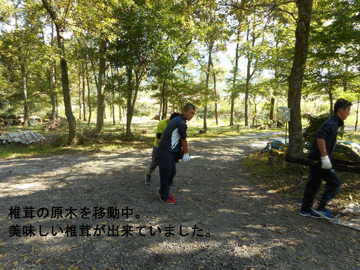 Itsubinosato Guest House Yufu Bagian luar foto